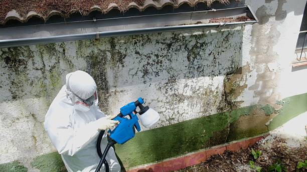 Trusted Crawl Space Mold Removal service in Mifflinburg, PA - Cheap Mold Removal